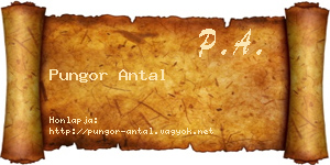Pungor Antal névjegykártya