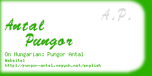 antal pungor business card